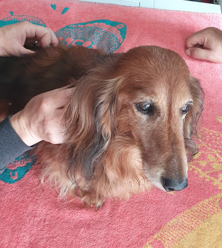 [Image: 20230726-150459.jpg]