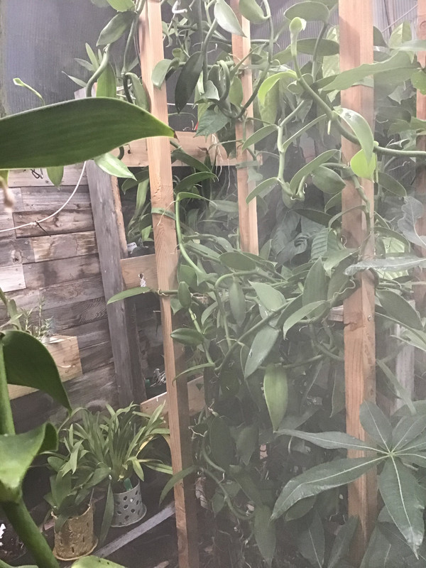 61615296-9D51-435F-A34D-D0E2A108E957