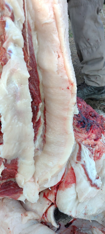 WhatsApp Image 2022-10-10 at 12.14.17