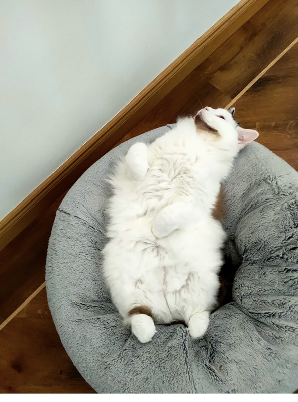 80744ED3-ABDA-4233-8796-F774FBA3F156