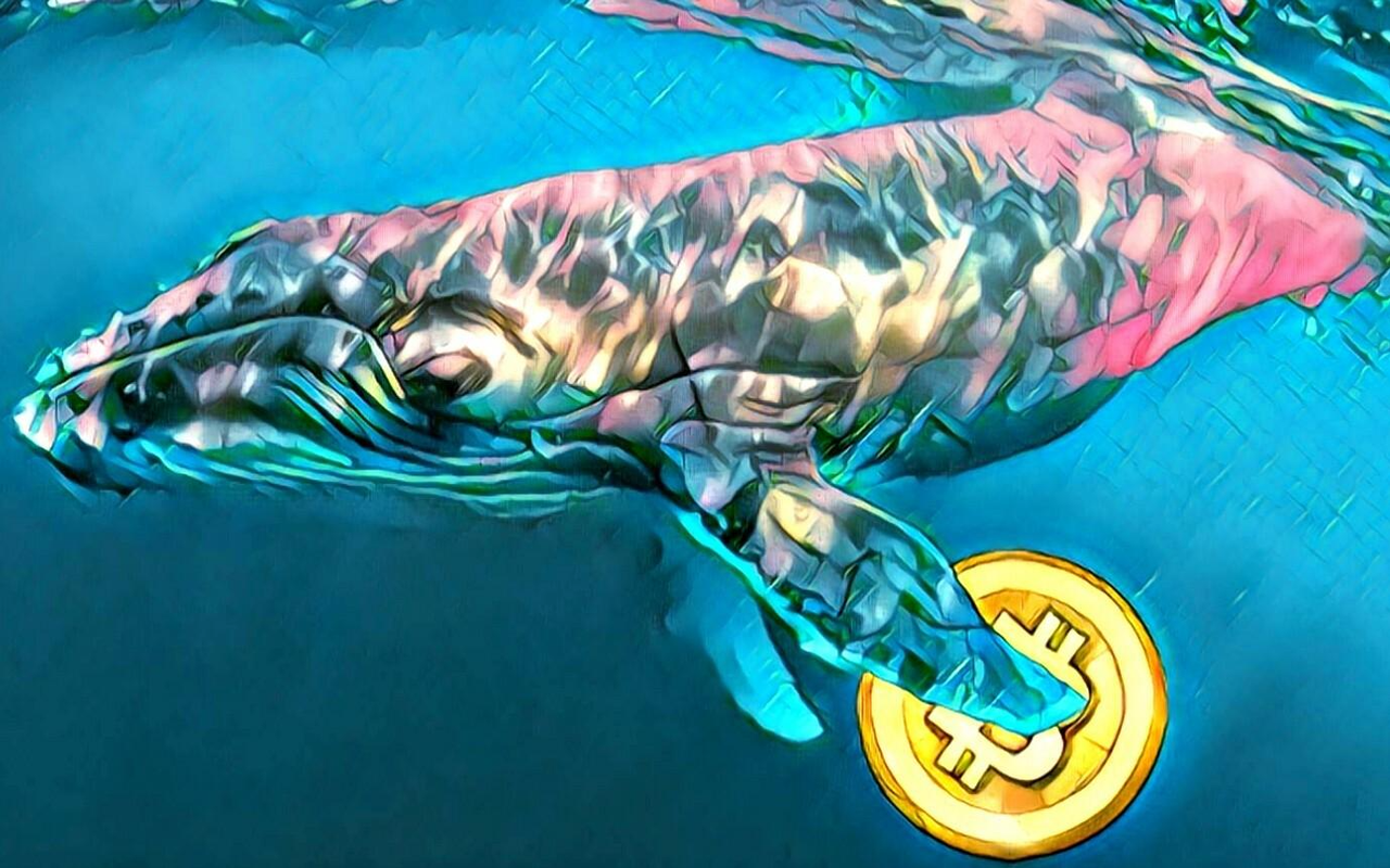 article imageЧто покупали криптокиты на этой неделе