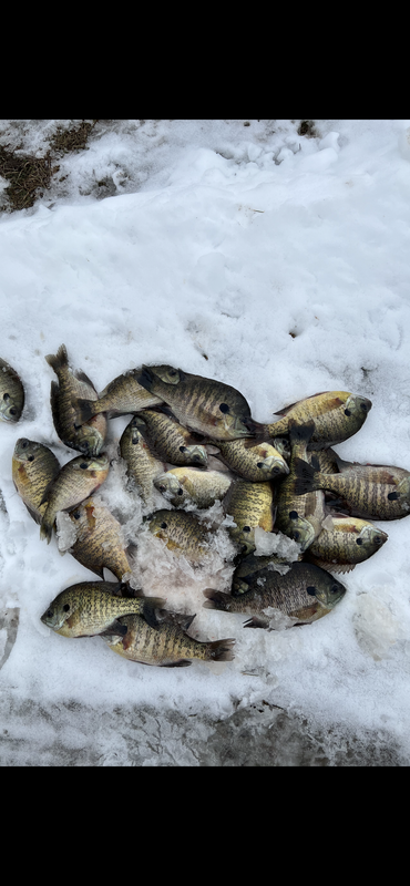 C07DE0F5-999A-4401-B48C-8923071BA394