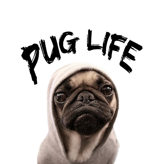 [Image: PugLife.jpg]