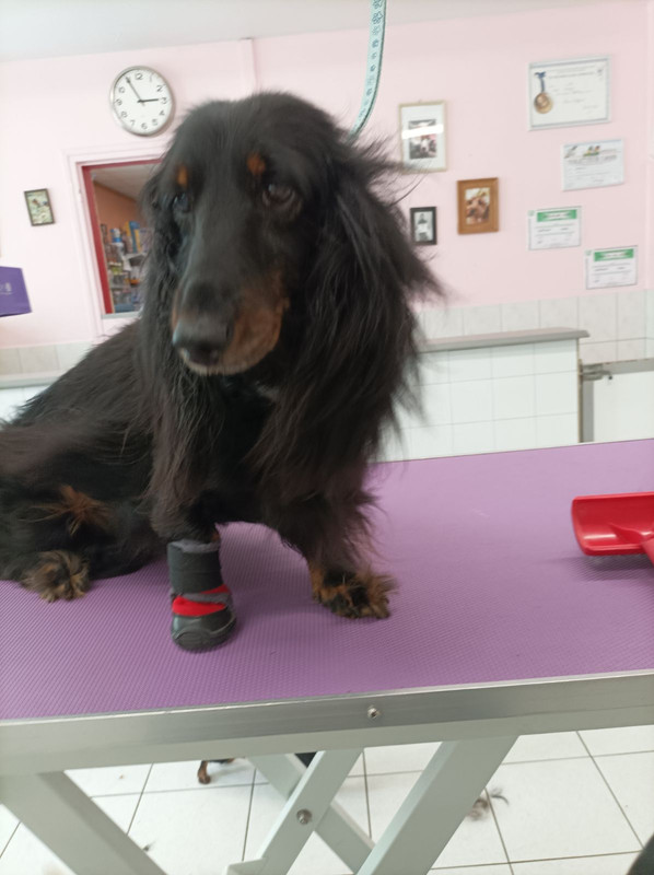 [Image: IMG-20230920-202316.jpg]