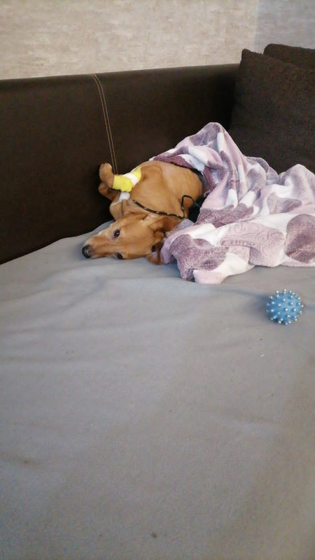 03BFFBA7-555C-483B-9EAB-E763D9DA1F66