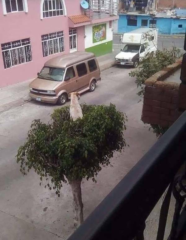 daily-picdump-39.jpg