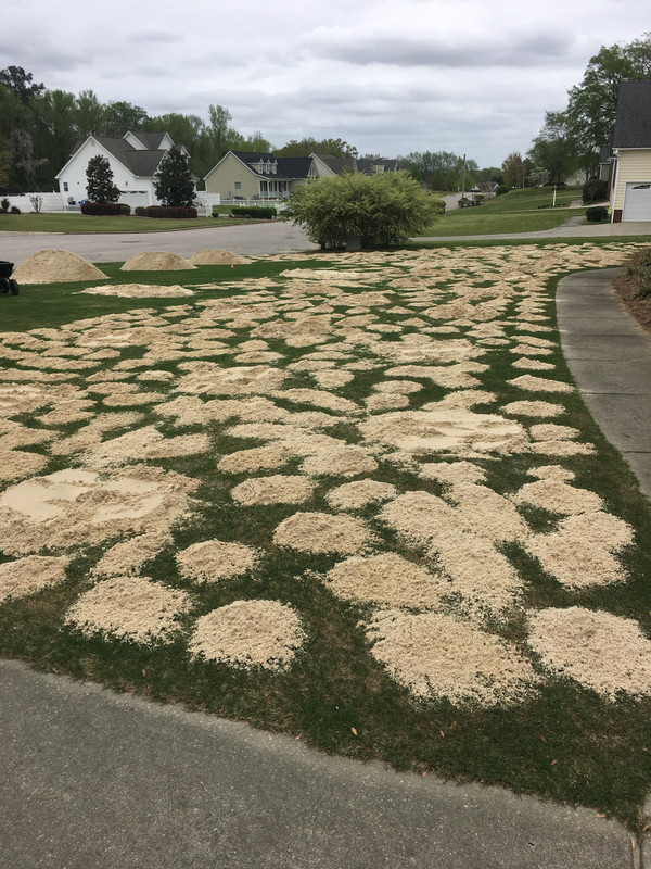 E6844974-5DD3-40EB-A33D-887C290C2A1E