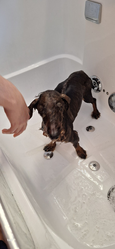 [Image: 20250305-142017.jpg]