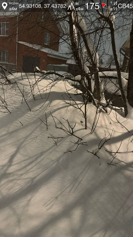 photo 48 2026 01 09 21 29 06