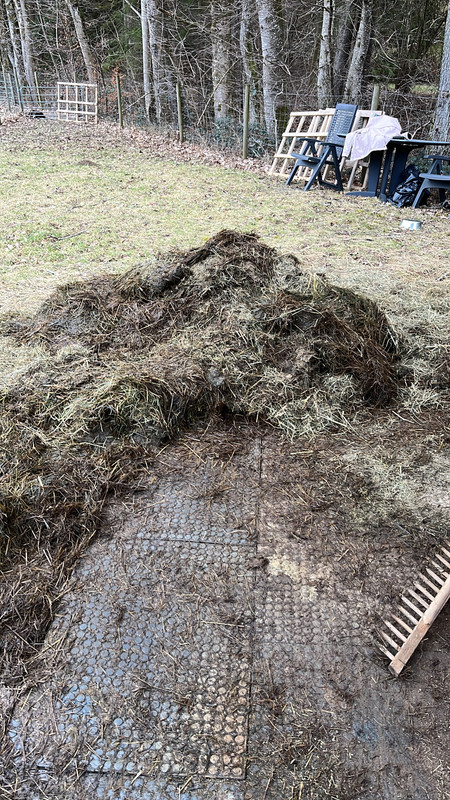 01CE131D-7355-4ACD-BCF7-8AE2BF9B2C0C