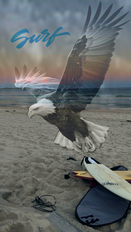 https://i.postimg.cc/x8JkWfXc/41f970fc6c3b95f74ee22f7cd9a9d455.png
