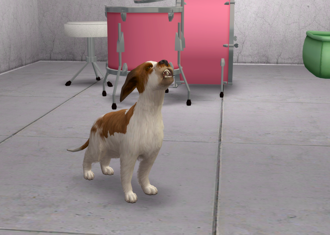 Sims2-EP9-RPC-2023-10-09-21-41-38-66