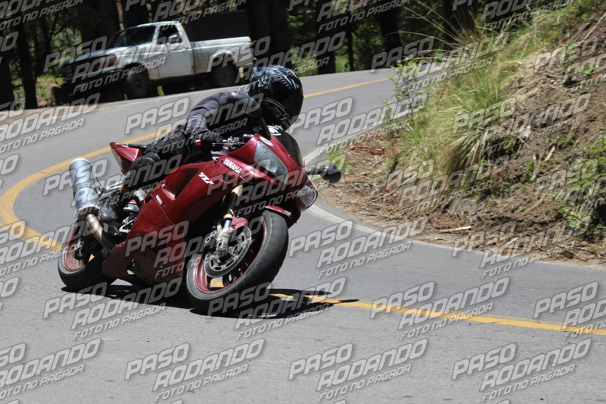 IMG 8776 wm 7258010 800000001 watermarked — Postimages