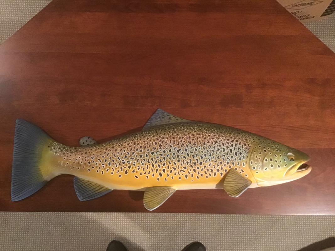 08F2C933-CAAC-4A8E-BCD9-2E19D7D5889E