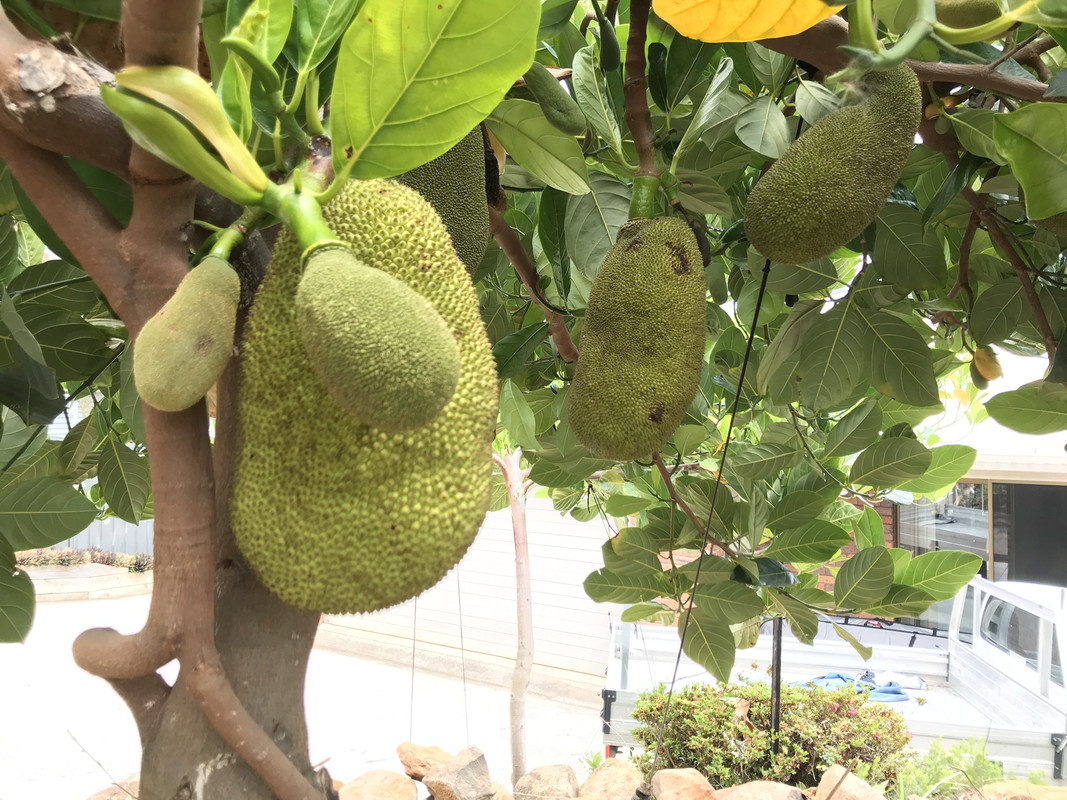 1CF777B8-BC7E-4005-9098-495CB452DA3E