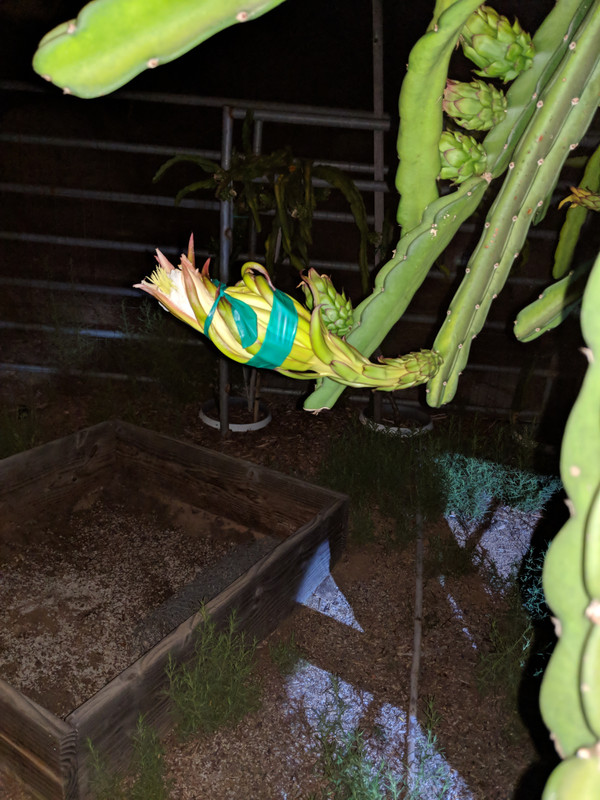 download_20190905_115535