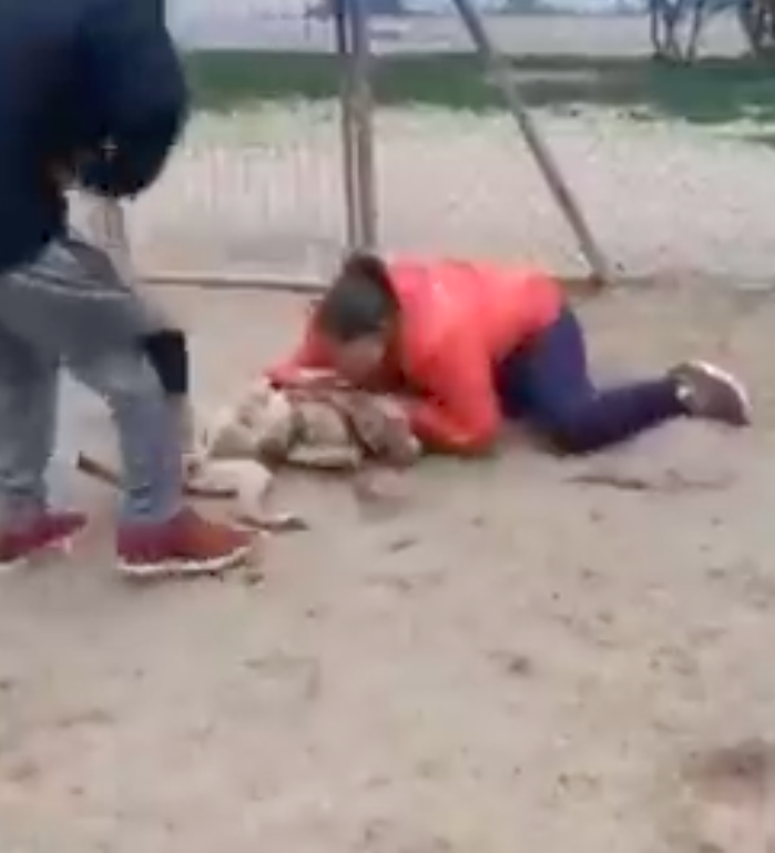 Perro robado se reencuentra con dueña tras cinco años; video viral te hará llorar