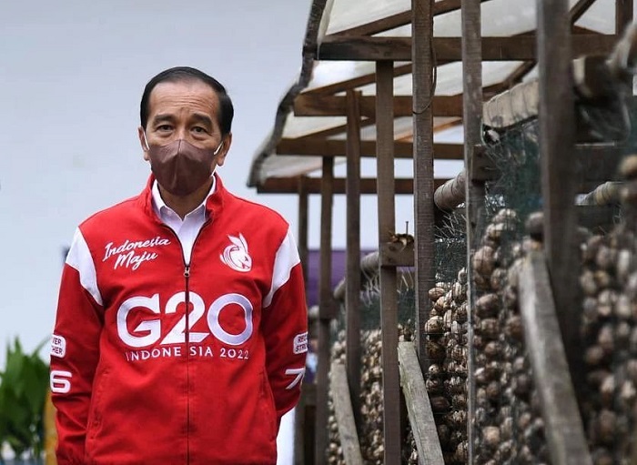 Momen kunjungan Jokowi ke Jambi, Kamis (7/4/2022).
