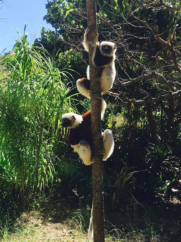 18700058-10154485547815703-7050129724606