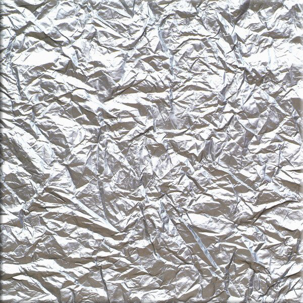 48114_502060729853550_1600172173_n