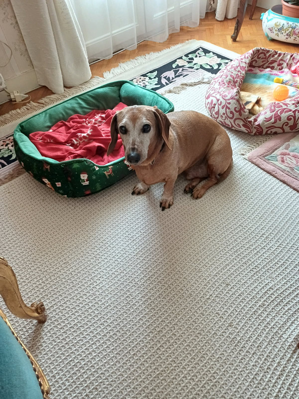 [Image: IMG-20250607-113134.jpg]