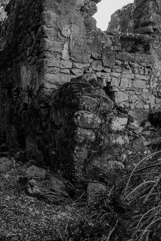 Hive-Vinhas-Ruins-Bn-W-08.jpg