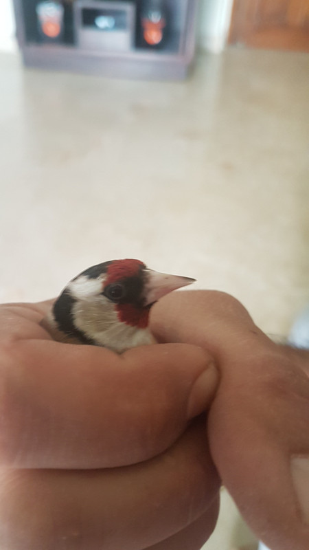 20180415_102252