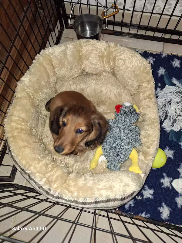 [Image: 20240910-094953.avif]