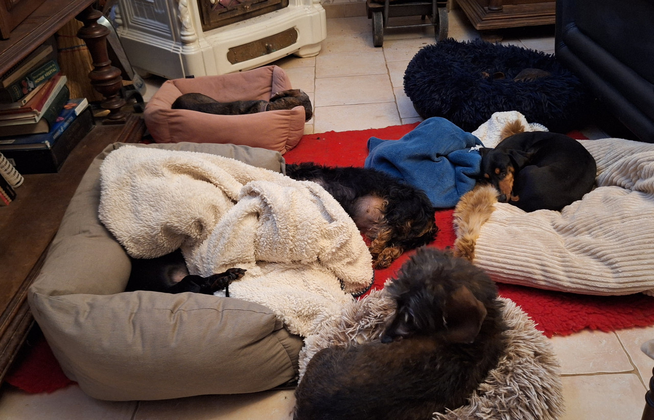 [Image: 20260105-200738.jpg]