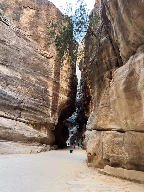 Siq Petra Giordania