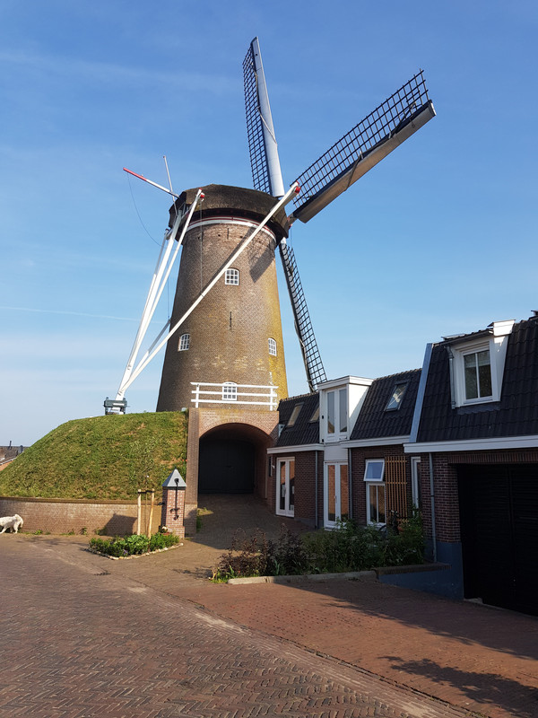 Pieter, Maallust 04 Amerongen 26-05-2018