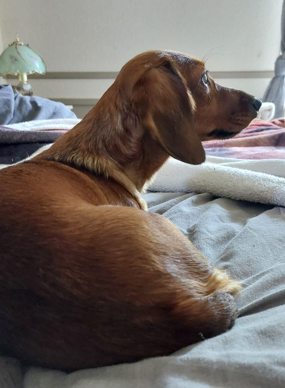 [Image: IMG-20250609-WA0001.jpg]