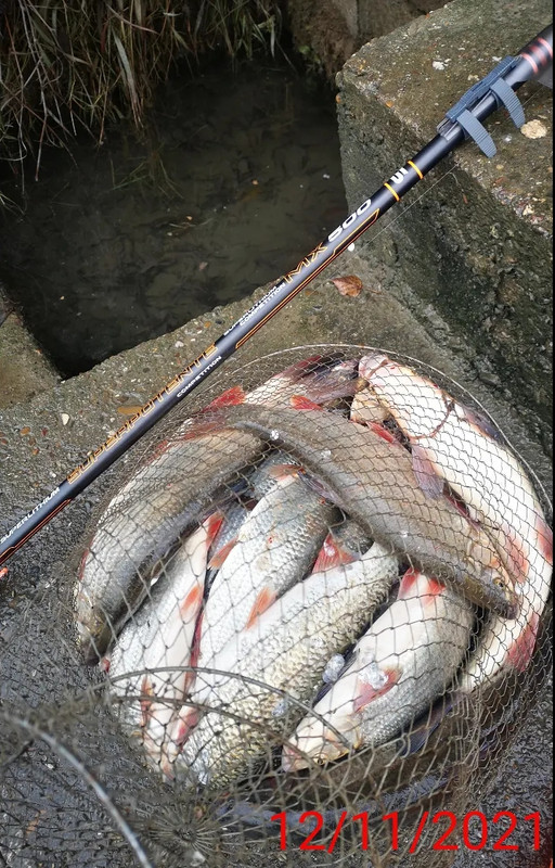 received_213095684234710(1)