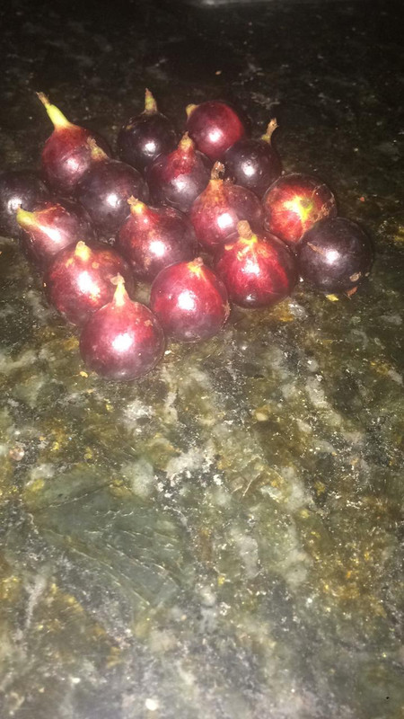 WhatsApp Image 2020-12-20 at 00.58.58 (1)