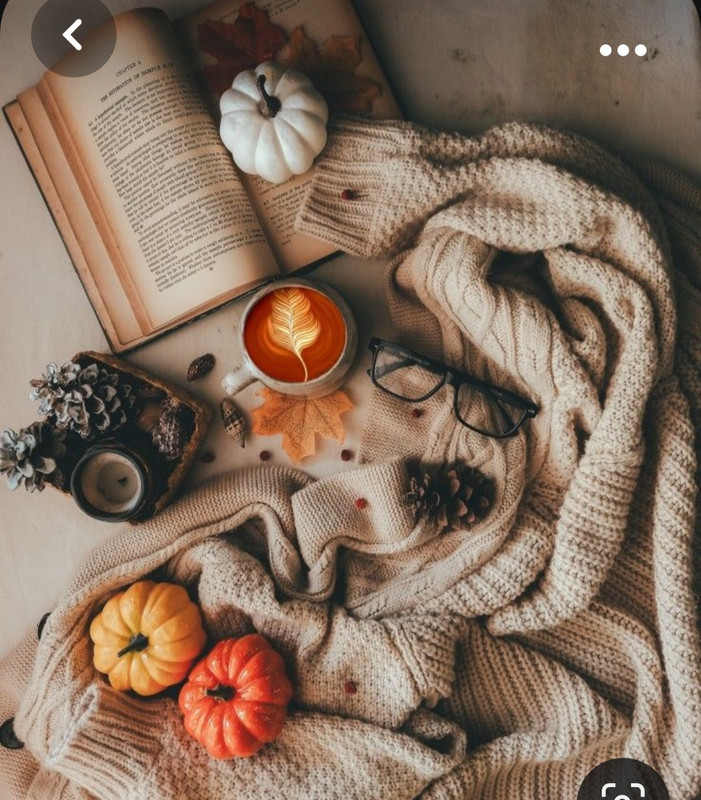 Screenshot_20231031_220917_Pinterest