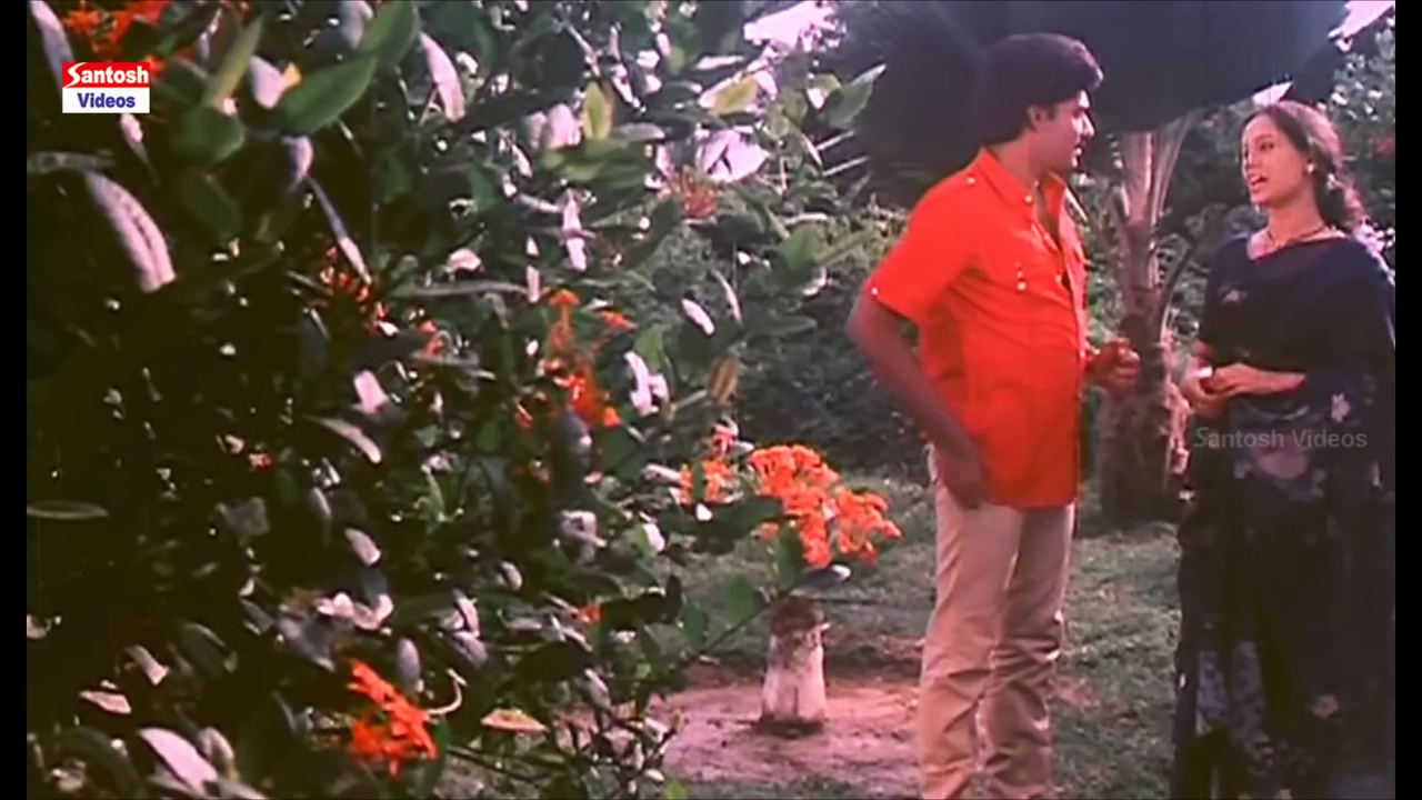 vlcsnap 2025 12 05 15h37m56s505