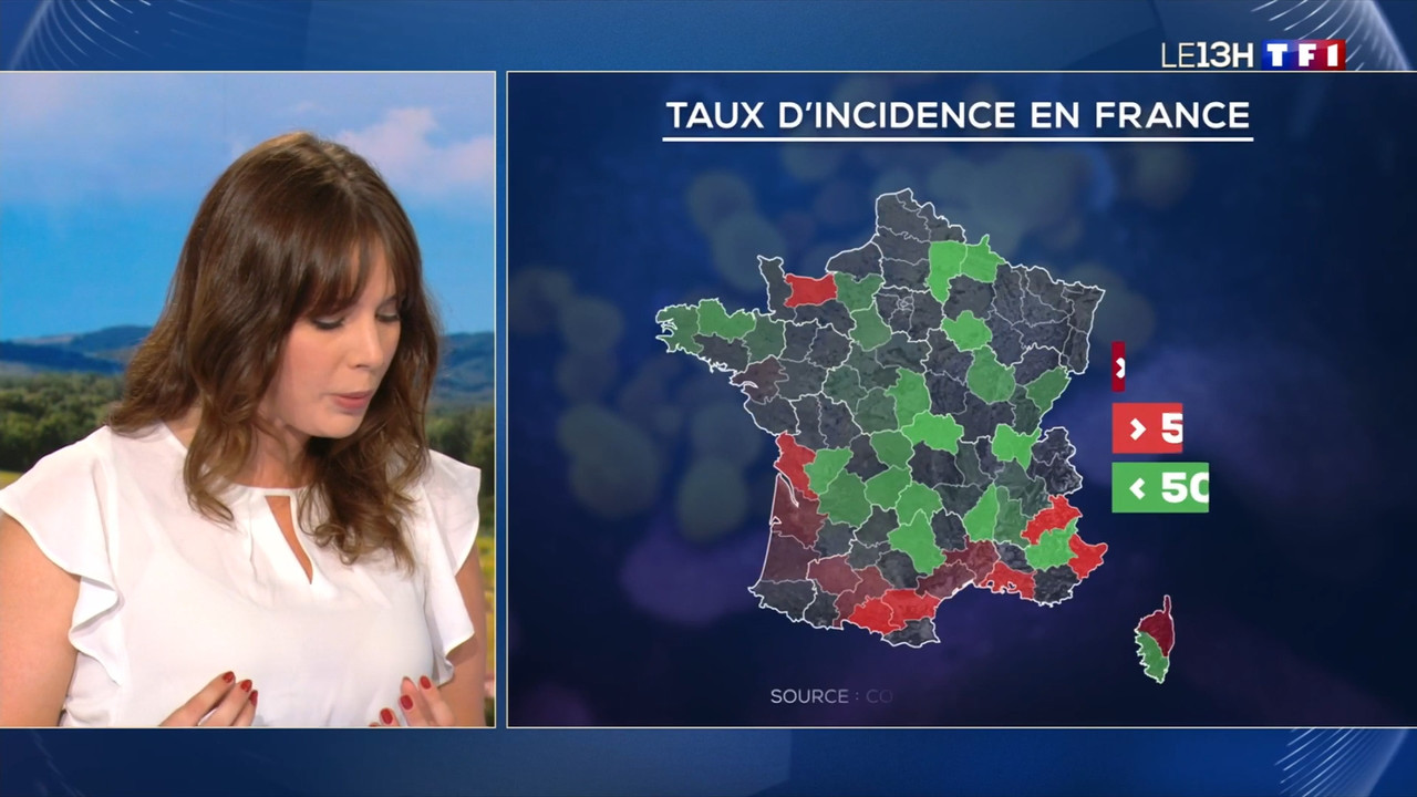 2021-07-19_13_00_TF1_Le-13h.mp4_snapshot_00.09.18.384