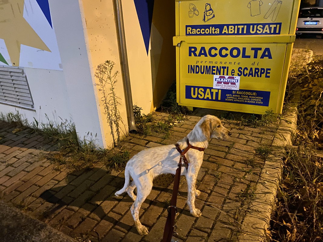 56EF2C66-DACB-4932-A4F4-56EFA5C33FC1