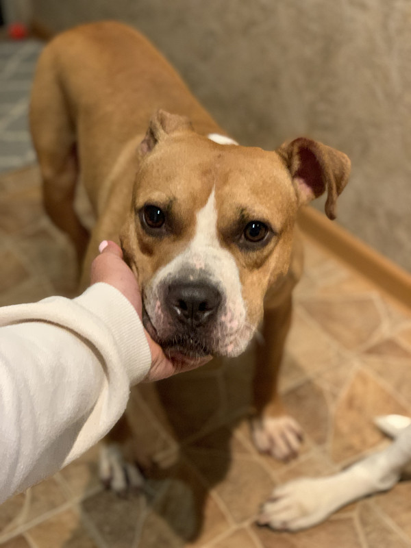 C54C3313-91EF-4BAC-B392-680A811C2BD9