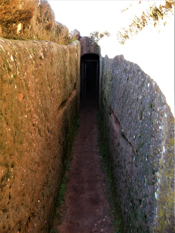 YACIMIENTO ARQUEOLOGICO DE TIERMES-16-2-2020 - Soria y sus pueblos-2010/2013/2020 (95)