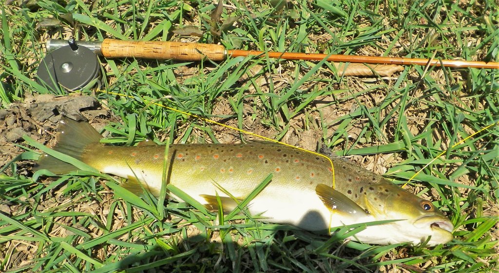 Granger on Neversink 2014