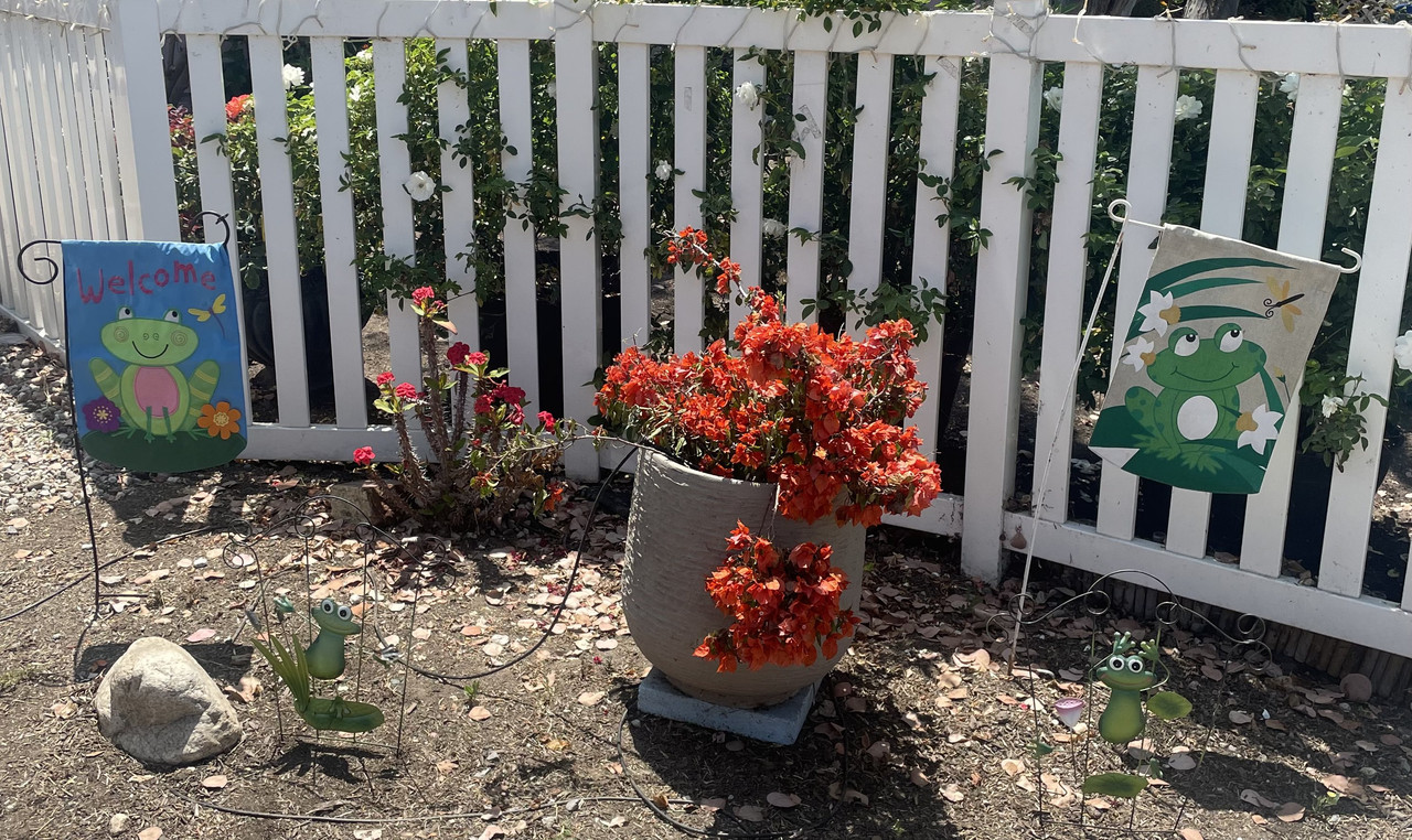 A6E88ECD-5278-4A63-BDD9-1773D1D3D7F9_1_201_a