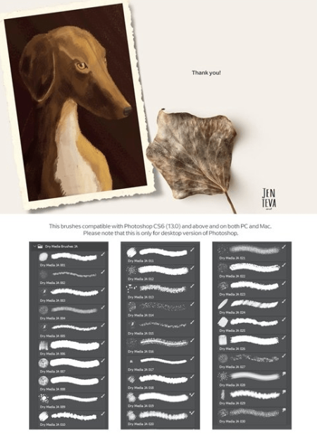 Dry Media Brushes - PS