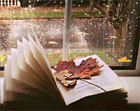 [Image: tumblr-p3hbbn4p-Qg1wy6snyo1.gif]