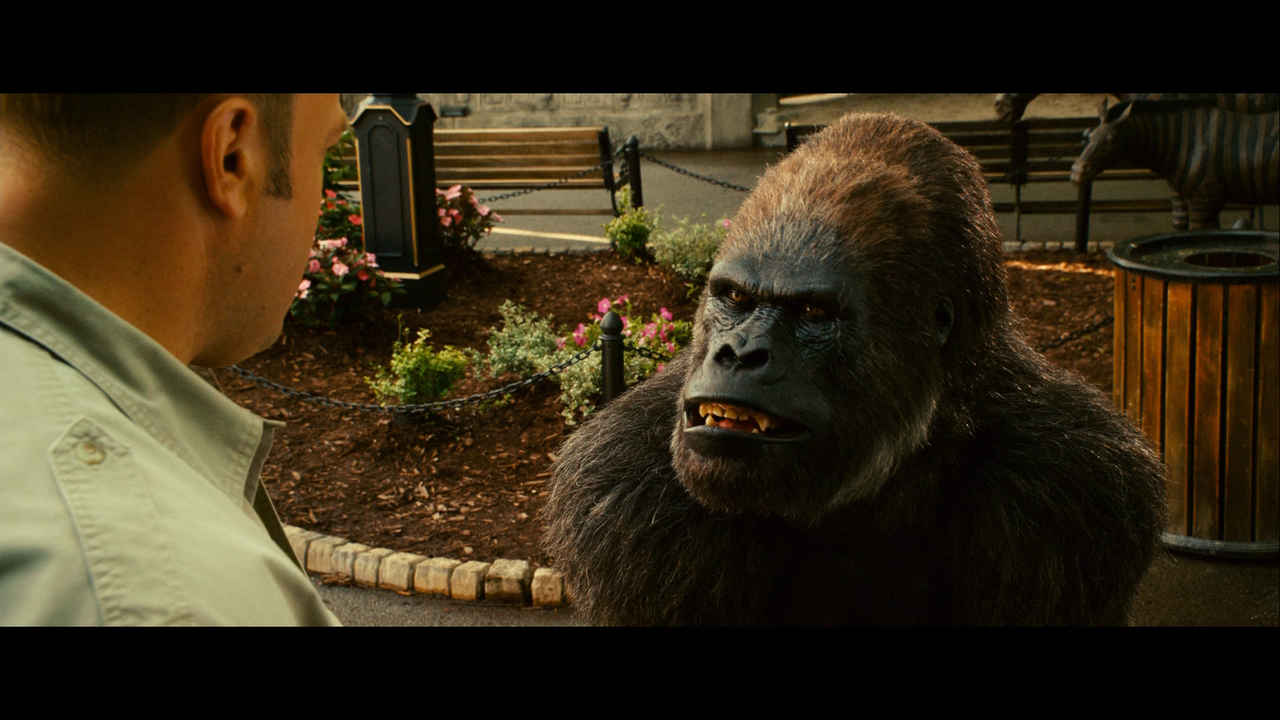 pic-03.png