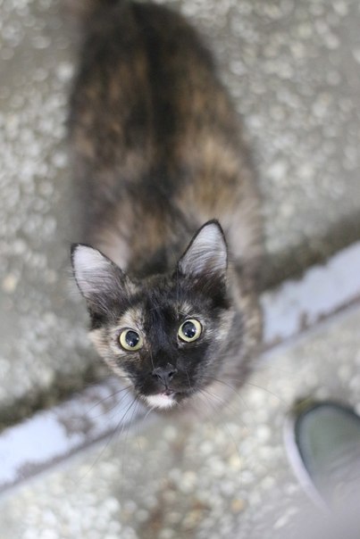 014FC739-6330-46F1-8EAA-B271BE47AD0D