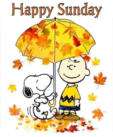 HAPPY-SUNDAY