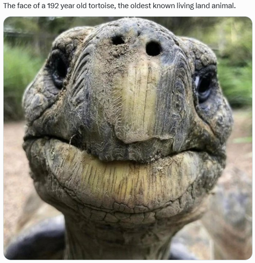 2025-01-08-140212786042101.png