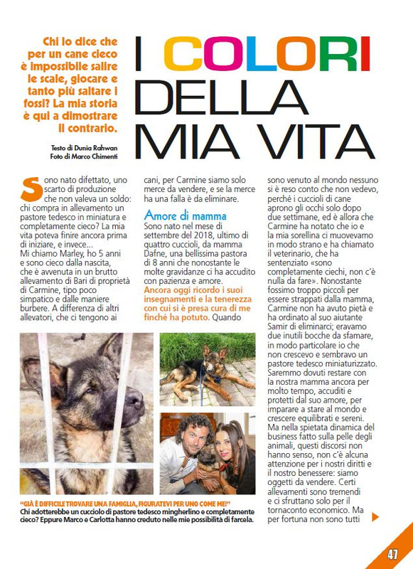 Foc Wil - Feb 2024 (10)