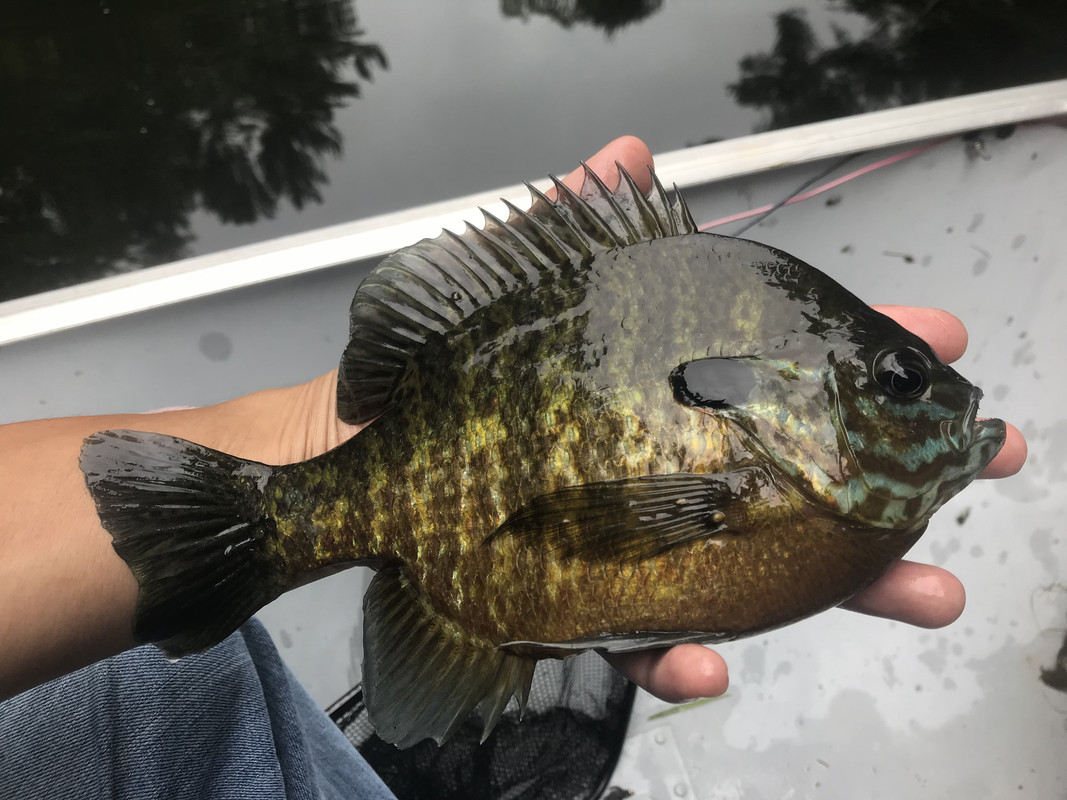 8EE34B6C-1533-4D2F-9AE5-AA26AC3C1227